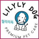 릴리리독 | 송도애견미용 릴리리독, 송도의 프리미엄 애견서비스 전문점