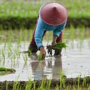 (주)돕다 이미지