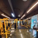 영바디짐 이미지