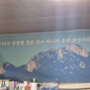 북한산 둘레길 불광동 노포 술집 맛집 와우 양철통 소금구이