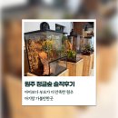 원주 정글숲 솔직후기 | 아이보다 부모가 더 만족한 원주 아기랑 가볼만한곳