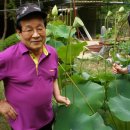 재성약국 이미지