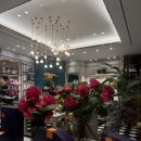 파라다이스 부티크 이미지