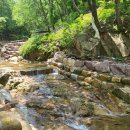 장척계곡식당 이미지