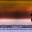 Gerard Joling - Everlasting Love 이미지