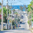 코히마르 이미지