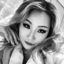 씨엘건재 이미지