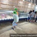 도학농장 이미지