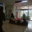 교대부설초등학교 이미지