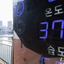역대 가장 뜨거운 입추에도 '정장'에 '근무복'…"반바지? 꿈도 못 꿔요" 이미지