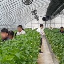 손불초등학교 병설유치원 이미지