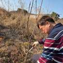 주식회사 차헬스케어 | 심신통합 헬스케어 온라인코칭 6일차 체험후기