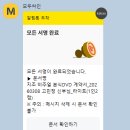 짝꿍 이미지