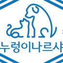 누렁이나르샤
