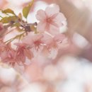 88번길 안경원 이미지