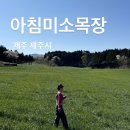 서윤목장 | 제주 공항 근처 가볼만한 곳 ㅣ 입장료 무료 목장 카페 ㅣ 제주도 여행코스 ㅣ 아침미소목장