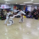 엘리트석사태권도 이미지