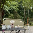 세인트존스 동물병원 이미지