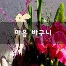 푸른 바구니