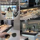모라동 안경하우스 앞 | [성남 언제나안경] 단대오거리 하우스 브랜드 안경 전문점 추천 선글라스 후기