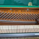 동아파크 이미지