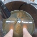 경남동물병원 인공수정소 | 창원족욕"kk디톡스 족욕샵" 염증탈출 몸속을 점검할 수 있는 곳