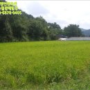 시산리(남) 네이버블로그