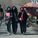 Afghanistan: Taliban ban women from universities amid condemnation 이미지