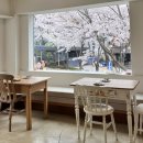 [경의선숲길] 디어모먼트 카페 재방문 후기 🌸