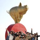 황금돼지 - 강남구 개포로24길 5 | 황금돼지
