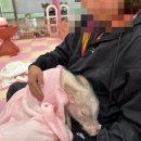 세종뮤직월드(주) | [세종 미니피그월드 방문기] 귀여운 돼지들과 힐링 데이트 💕 세종 동물체험 카페 추천! (feat. 남편 돈산)