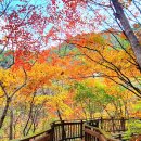 철원군산림조합 | 🍁 [10월 철원 포천 가볼만한 곳 : 복주산 자연휴양림] ‘가을 복주산에 물들다' '철원 단풍 산책로 힐링기'