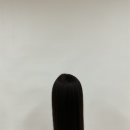 야옹아 멍멍해봐 네이버블로그
