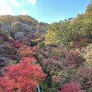 곰소그린 | 광주 곤지암리조트 화담숲 일찍 도착했을때 내부 카페, 씨드그린 추천