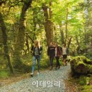 청정한 뉴질랜드 이미지