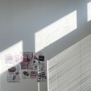 맛순이 추억 이미지