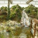 안산 식물원 이미지