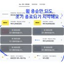 모아그린방 | 그린델발트 호텔 추천 뷰 끝판왕 엘리먼트 로지 스위스 신혼여행 숙소 내돈내산 후기