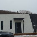 포레스트 G2 이미지