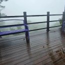 바람언덕 이미지