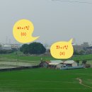 이든 F&O 네이버블로그