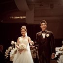 김우형 카카오 검색결과