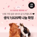 【😽57차 냥글멍글 프로젝트🐶】 사랑 가아득 담은 생식이 곧 도착합니다!📦🤍 1,025팩 나눔 확정🩷(생식...