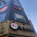 냐옹냐옹고양이카페 이미지