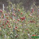 복길농장 이미지