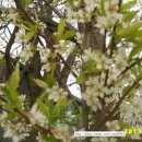 성림농장 이미지