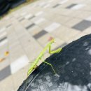 생활체육 테니스장 이미지