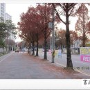 부락산 자전거도로 이미지