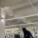 리라핏 거모점 이미지