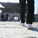 2024 시니어 유산소 근력 이미지